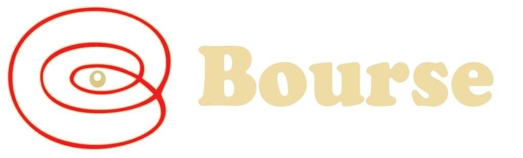 Bourse Securities Limited