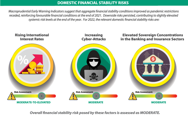 2021-visual-summary-domestic-financial-stability-risks