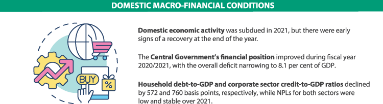 2021-visual-summary-domestic-macro-financial-conditions