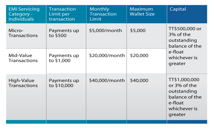 Fintech Entities (E money Issuer) image 3