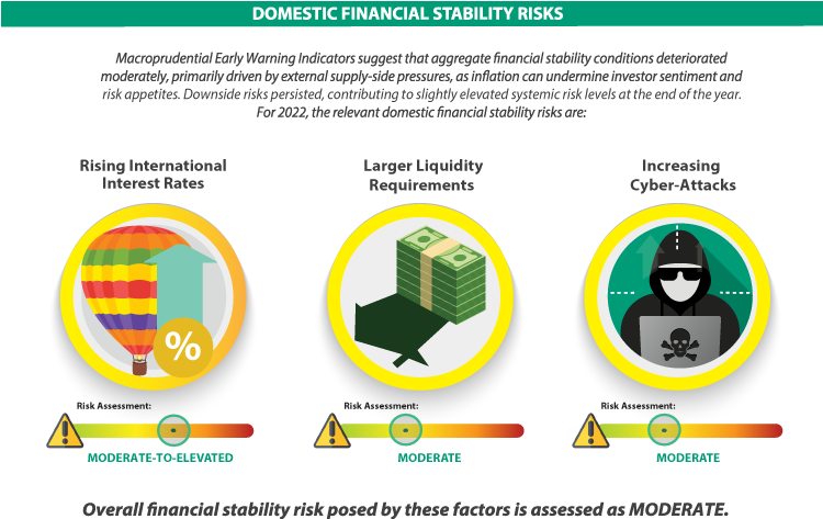 2021-visual-summary-domestic-financial-stability-risks