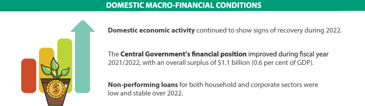 2022-visual-summary-domestic-macro-financial-conditions
