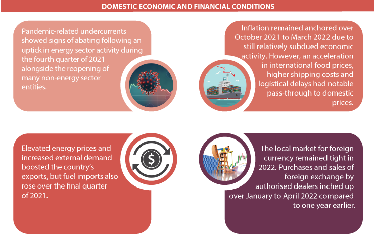 Domestic Economic and Financial Decisions