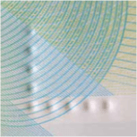 5 Dollar - Feel - Trinidad and Tobago