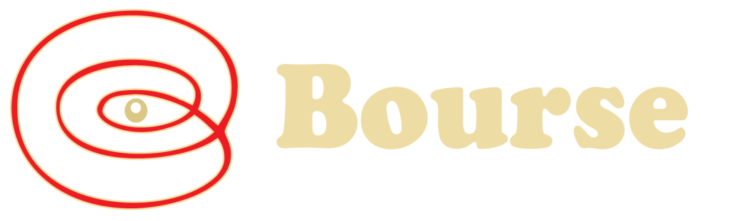 Bourse Securities Limited